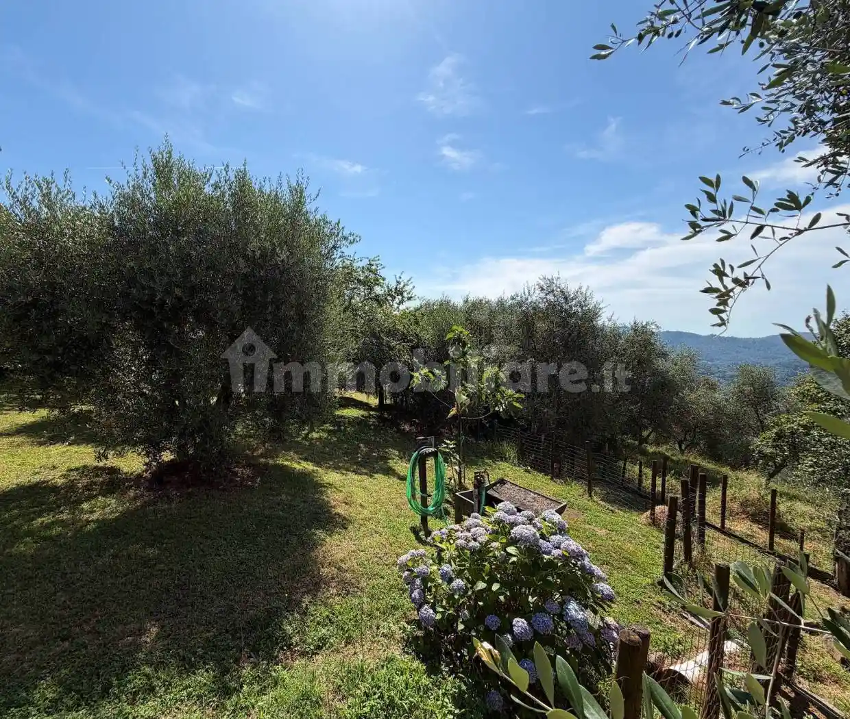 Rustico - Casale in vendita a Pescia