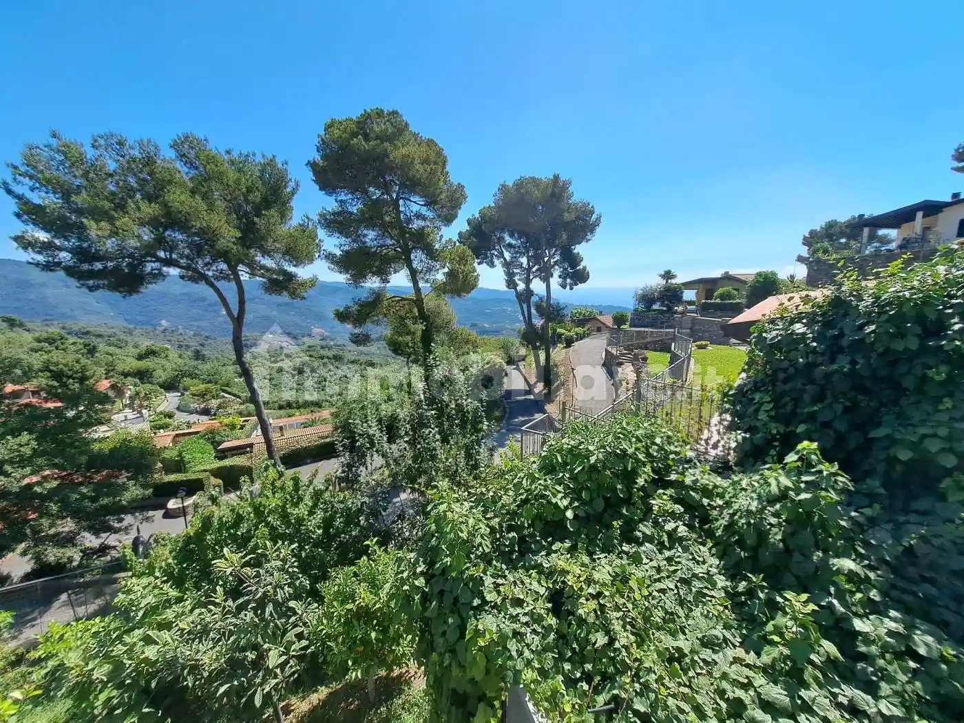 Villa in affitto a Diano Arentino