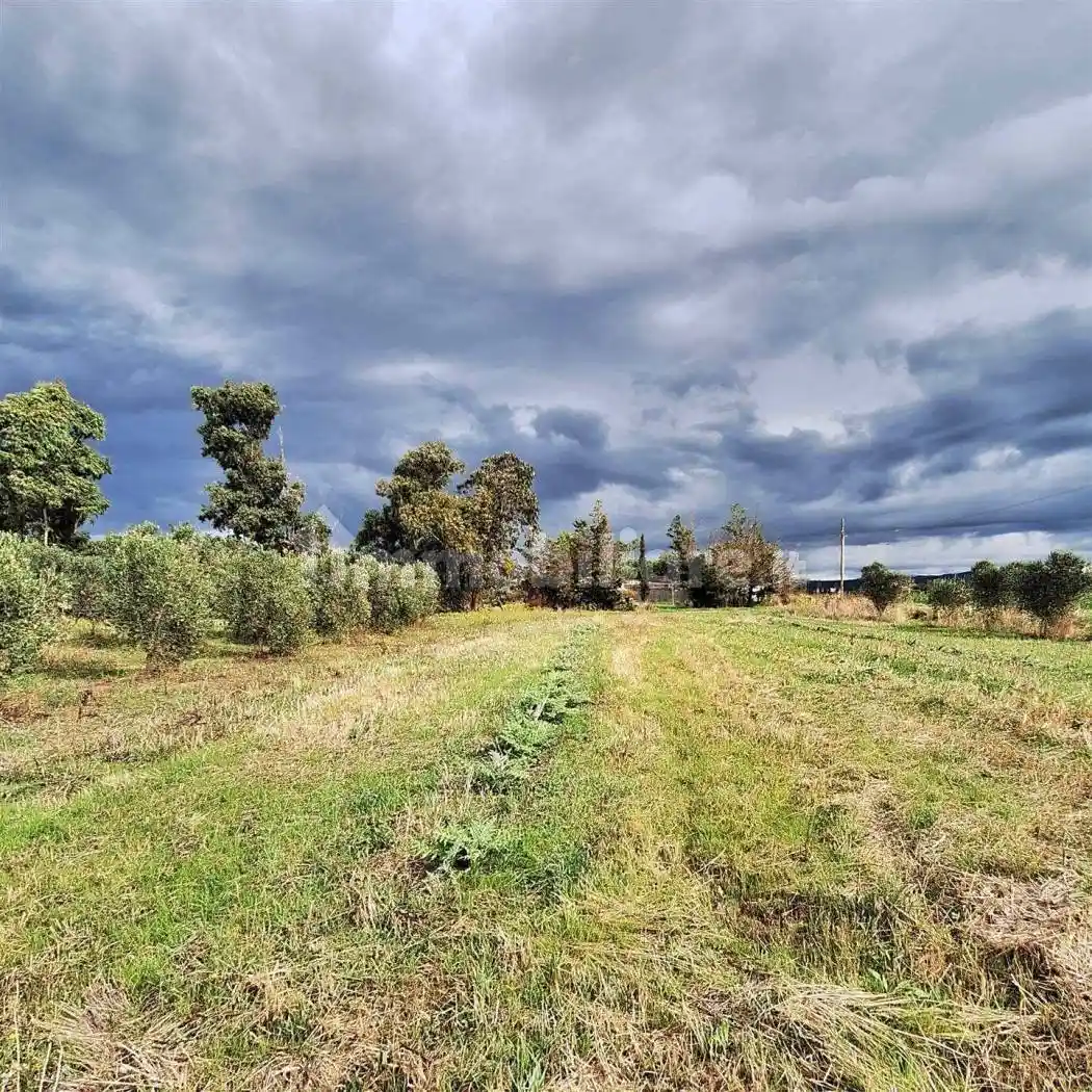 Rustico - Casale in vendita a Piombino