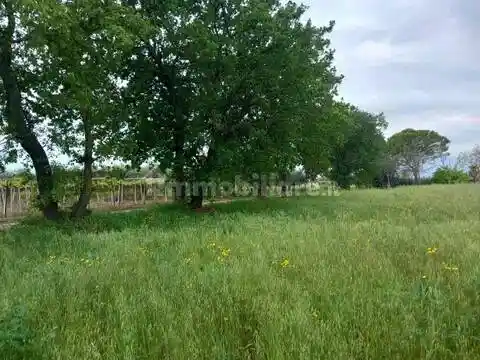 Rustico - Casale in vendita a Ortona