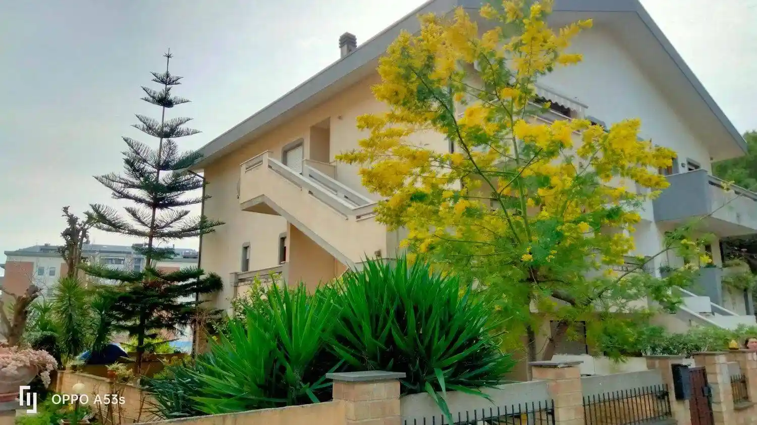Villa in vendita a Francavilla al Mare