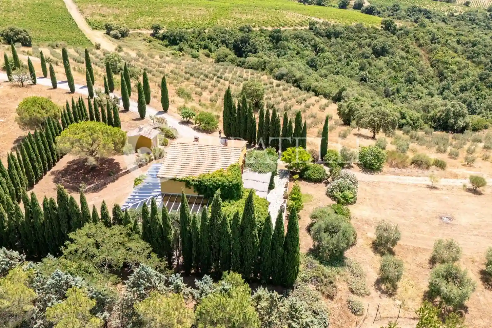 Rustico - Casale - foto 3