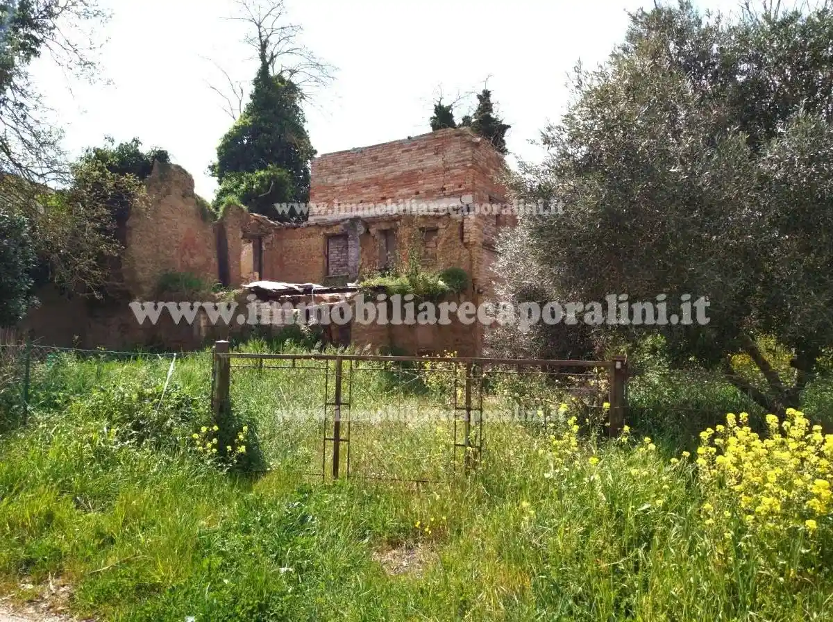 Rustico - Casale in vendita a Montelupone