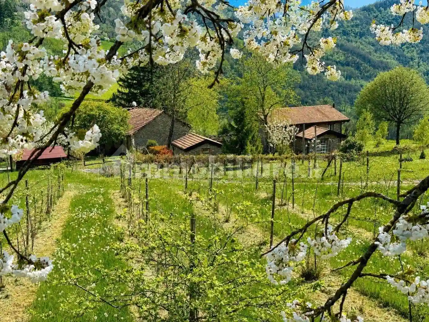 Rustico - Casale - foto 3