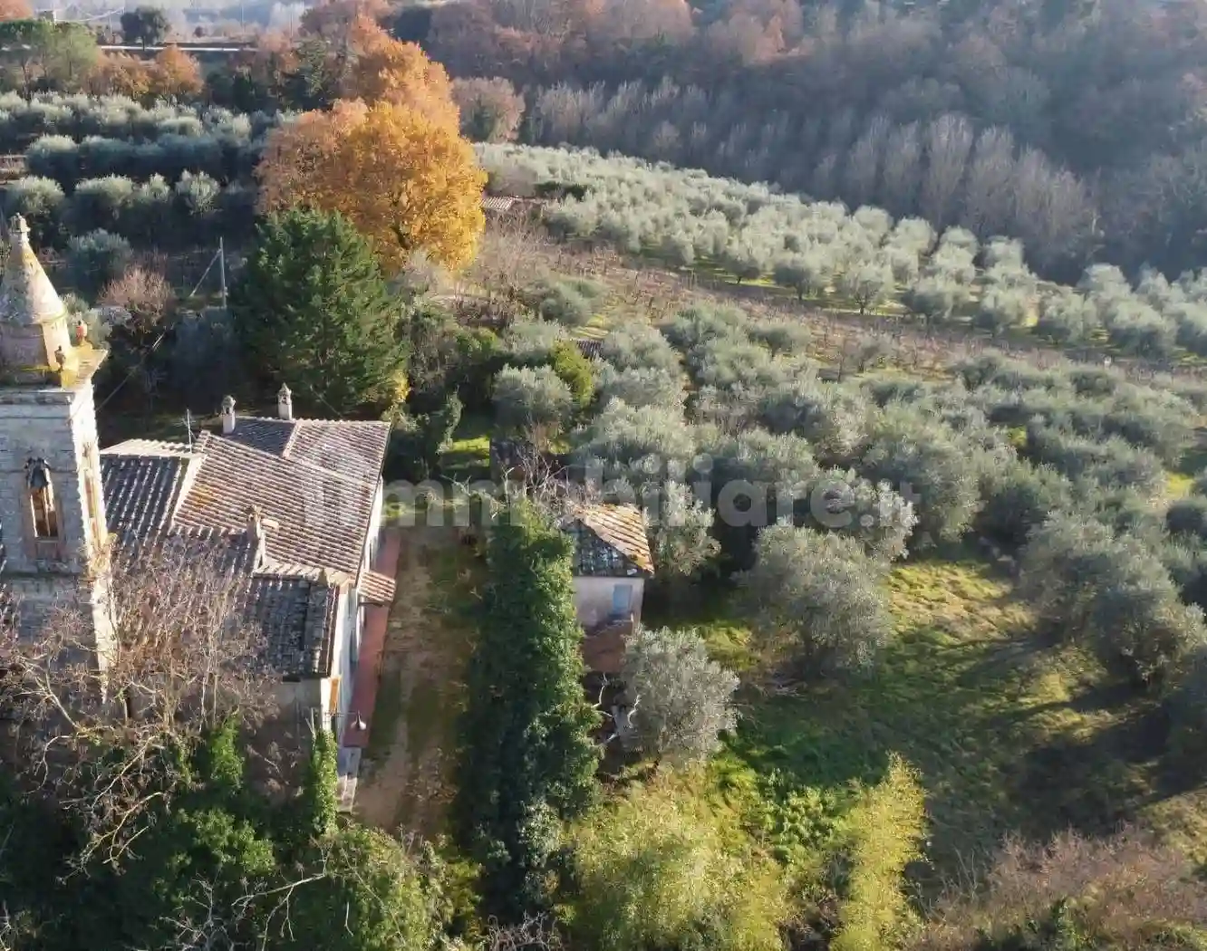 Rustico - Casale - foto 5