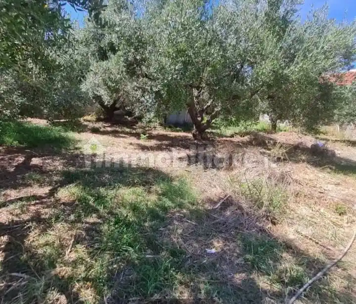 Villa in vendita a Torrevecchia Teatina