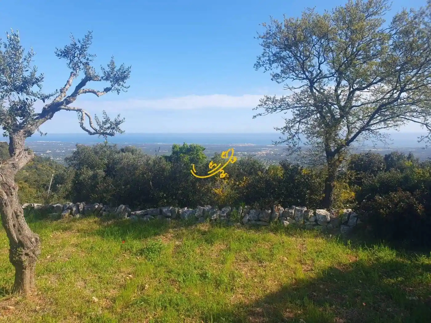 Rustico - Casale in vendita a Cisternino