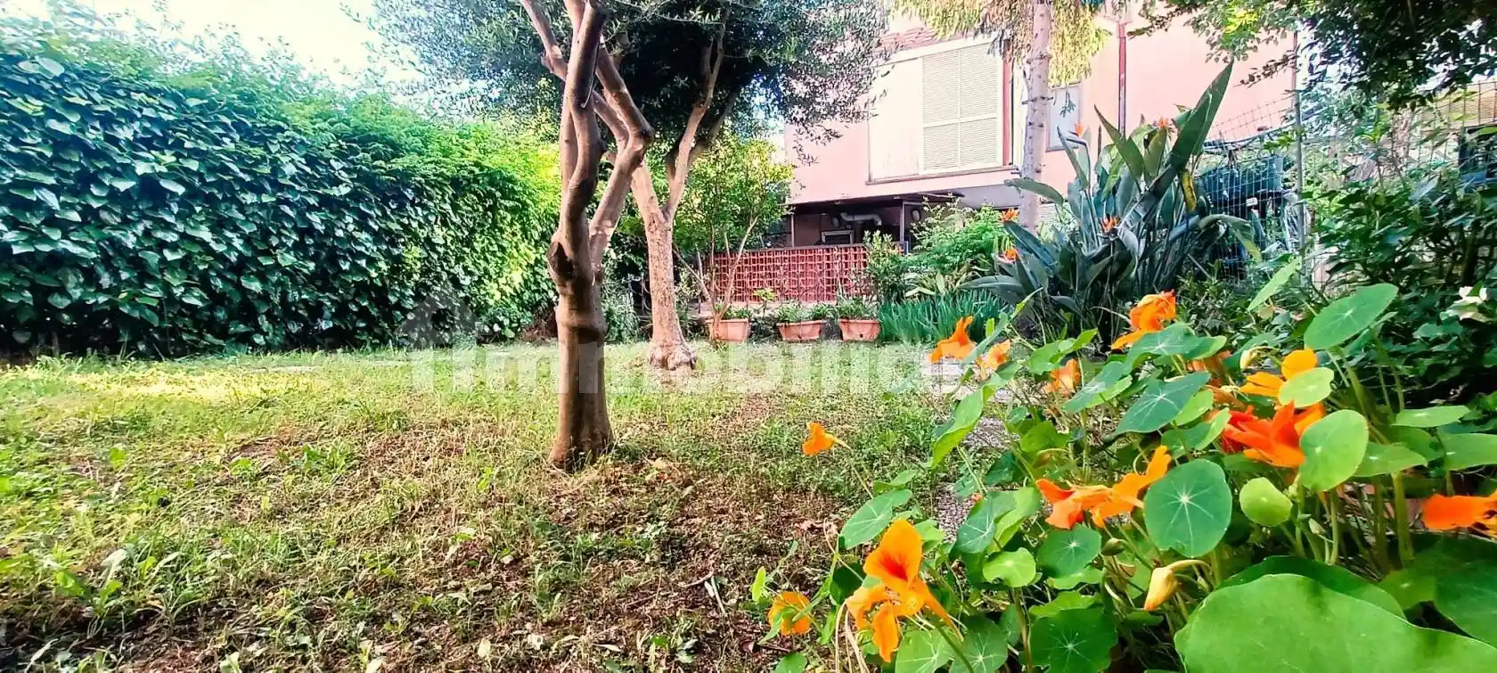 Villetta a schiera in vendita a Santa Marinella
