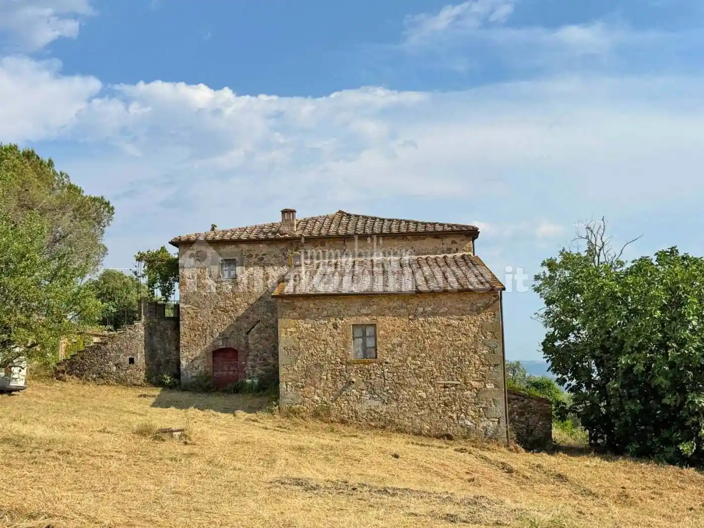Rustico - Casale in vendita a Scansano