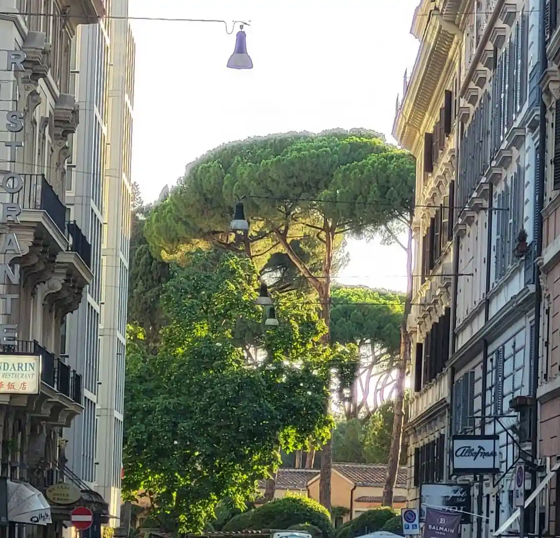 Appartamento in affitto a Roma