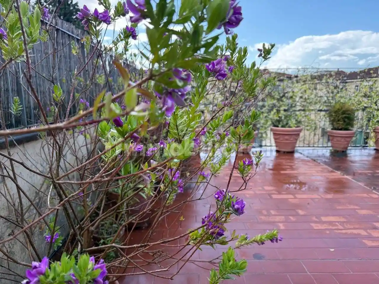 Attico - Mansarda in vendita a Firenze