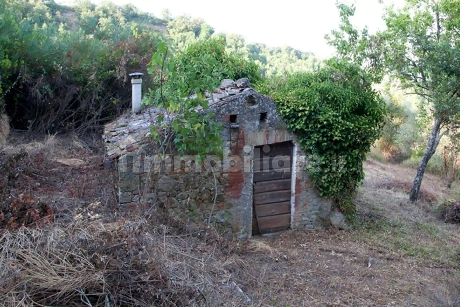 Rustico - Casale in vendita a Chiusdino