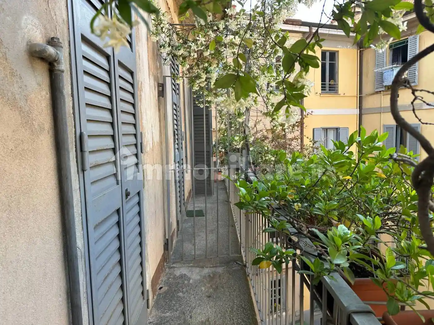 Appartamento in affitto a Milano