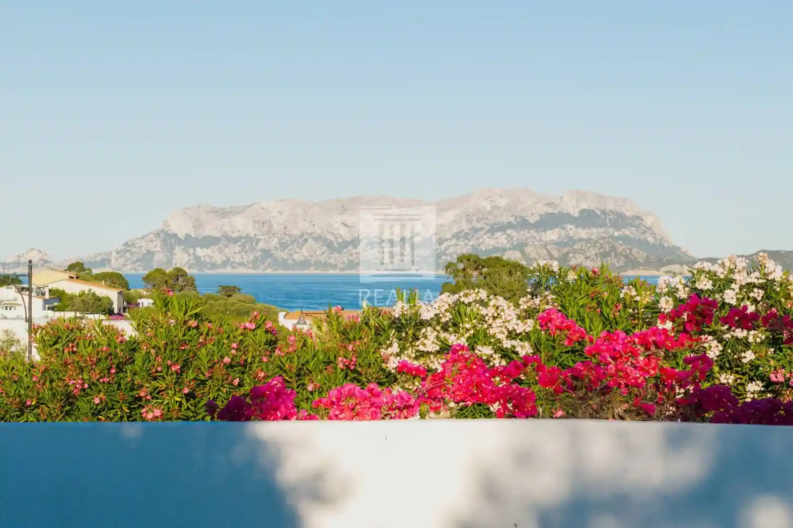 Villa in vendita a Olbia