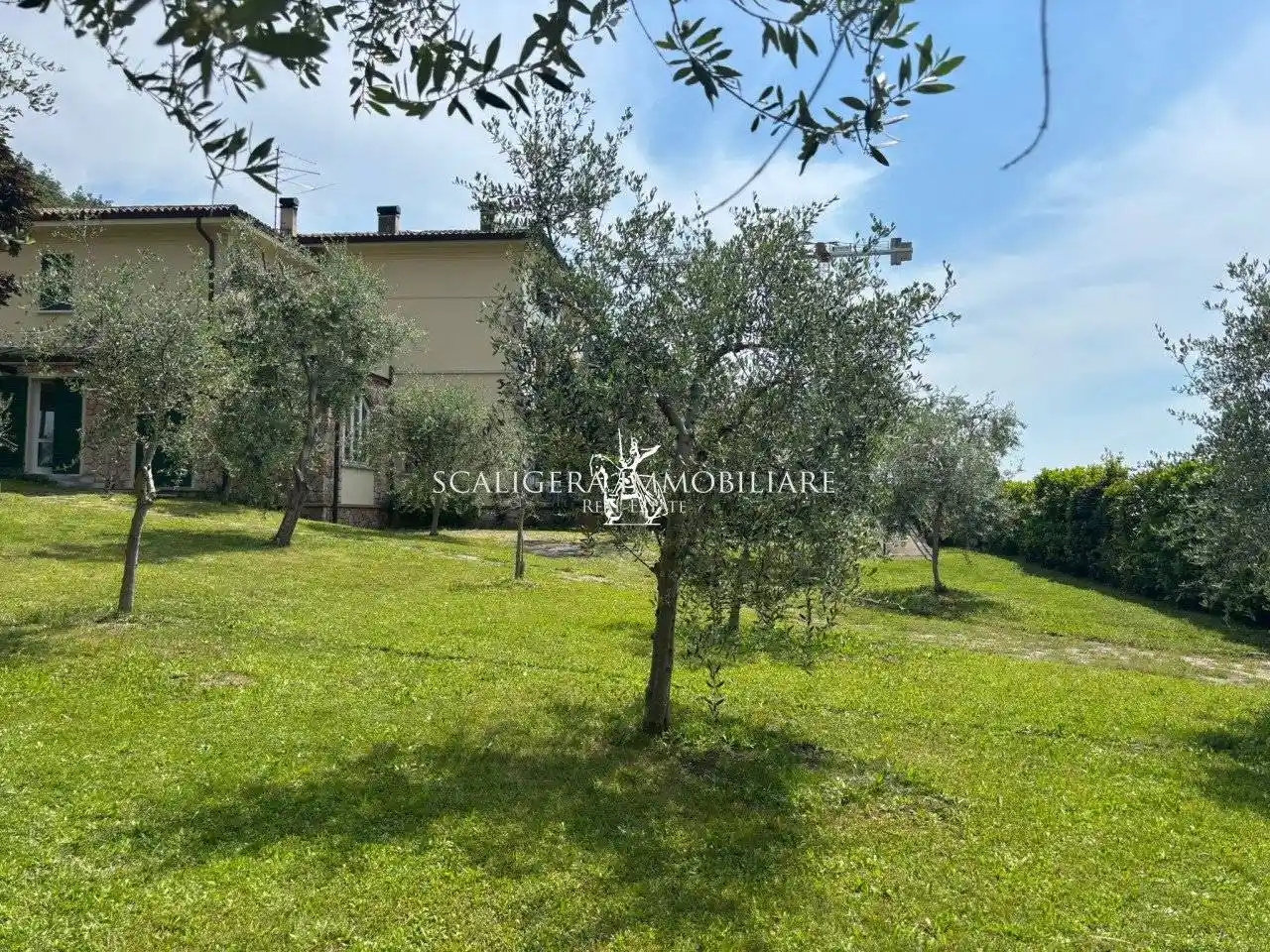 Appartamento in affitto a Torri del Benaco