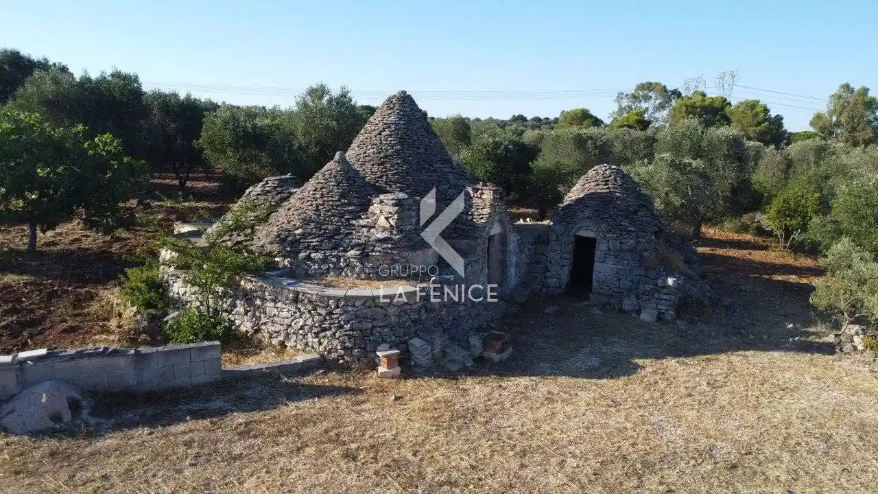 Rustico - Casale in vendita a Martina Franca