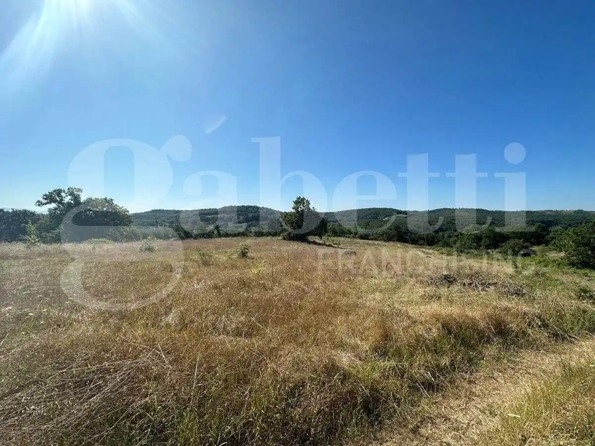 Rustico - Casale in vendita a Orte