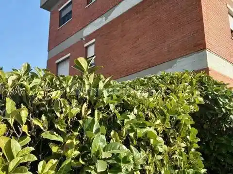 Appartamento in vendita a Avezzano