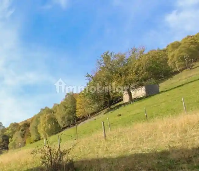 Rustico - Casale in vendita a Cerano d'Intelvi