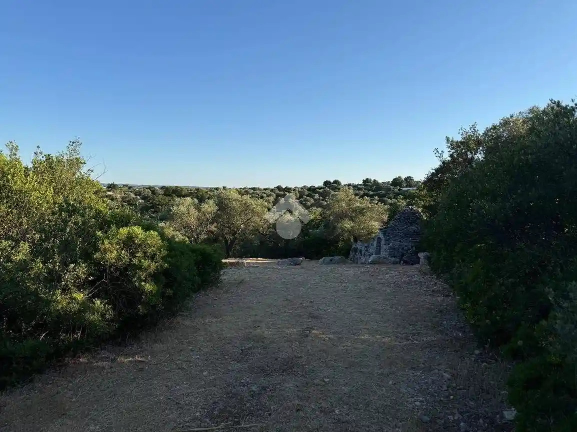 Rustico - Casale in vendita a Cisternino