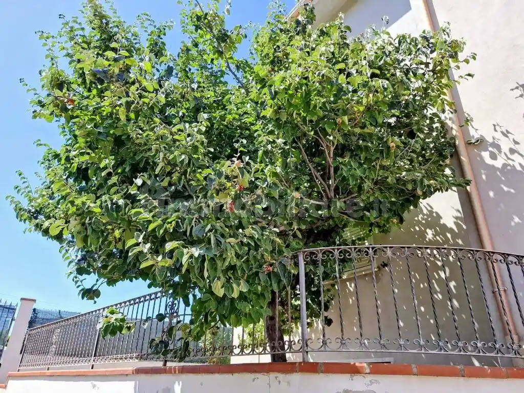 Villetta a schiera in vendita a Marrubiu
