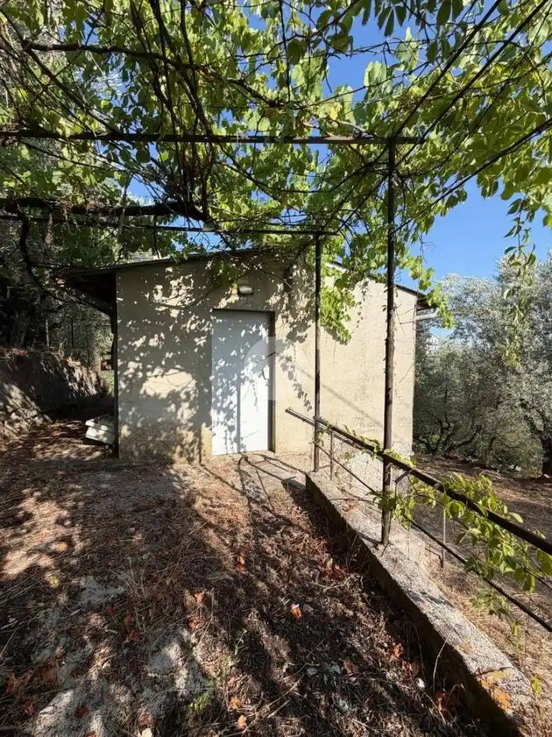 Rustico - Casale in vendita a Paliano