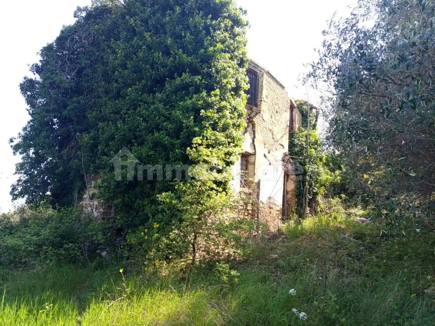Rustico - Casale in vendita a Castel Frentano