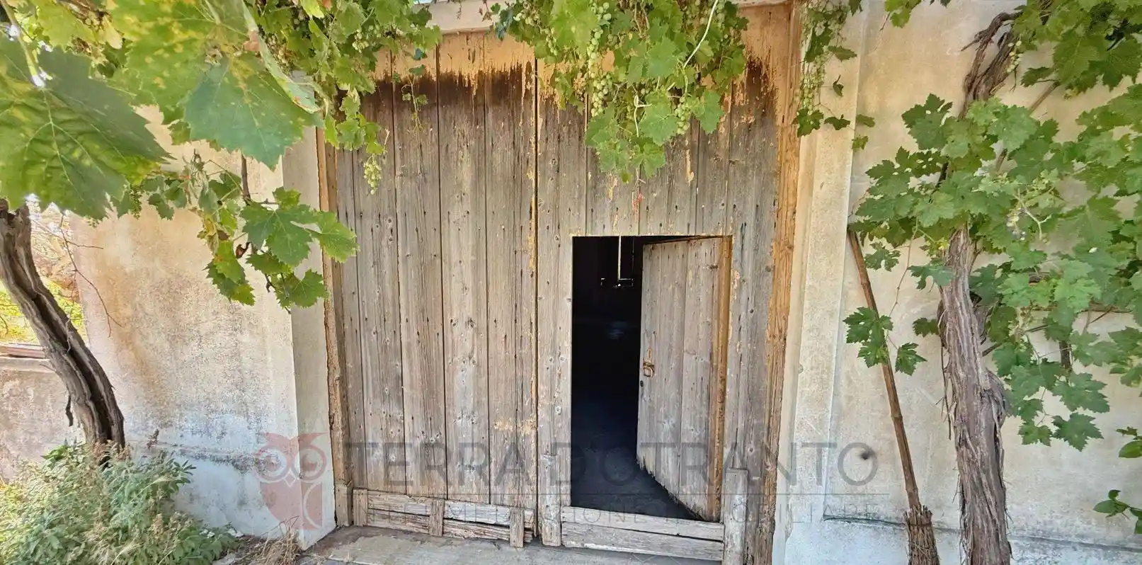 Rustico - Casale in vendita a Cutrofiano