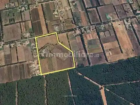 Rustico - Casale in vendita a Alghero