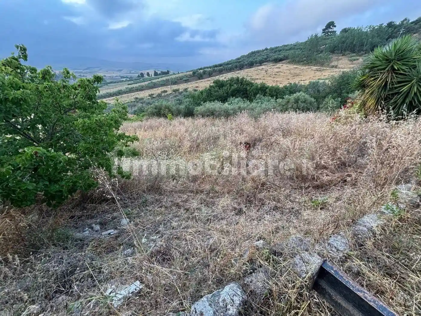 Rustico - Casale in vendita a Erice