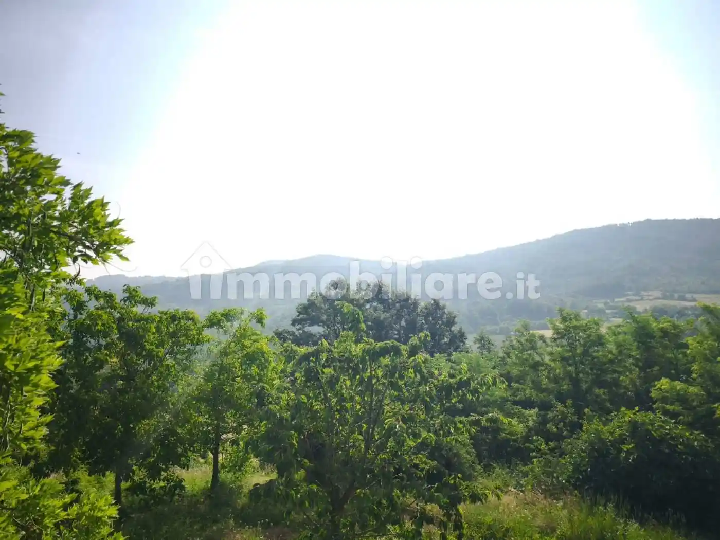 Rustico - Casale in vendita a Bettola