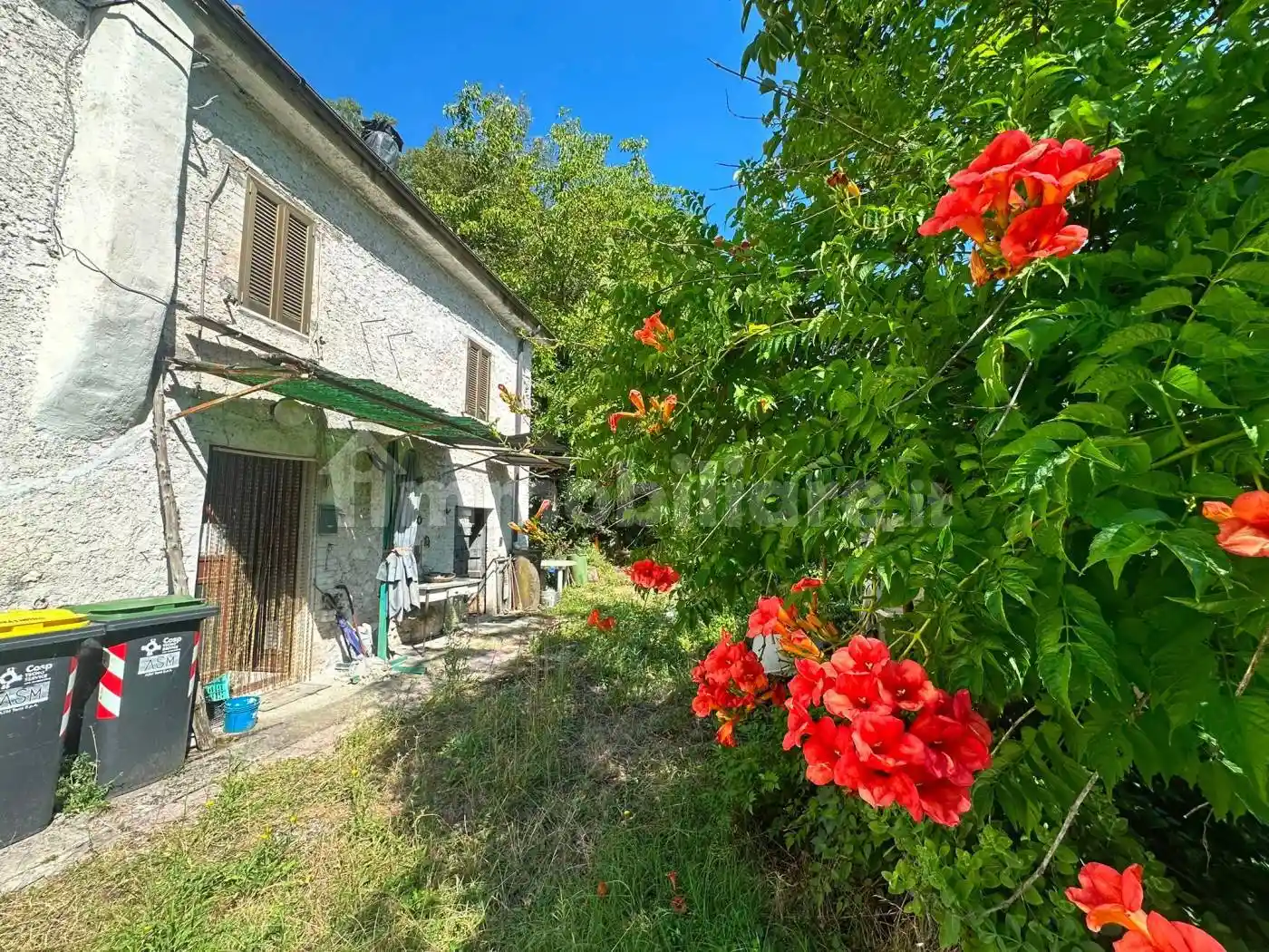 Rustico - Casale in vendita a Arrone