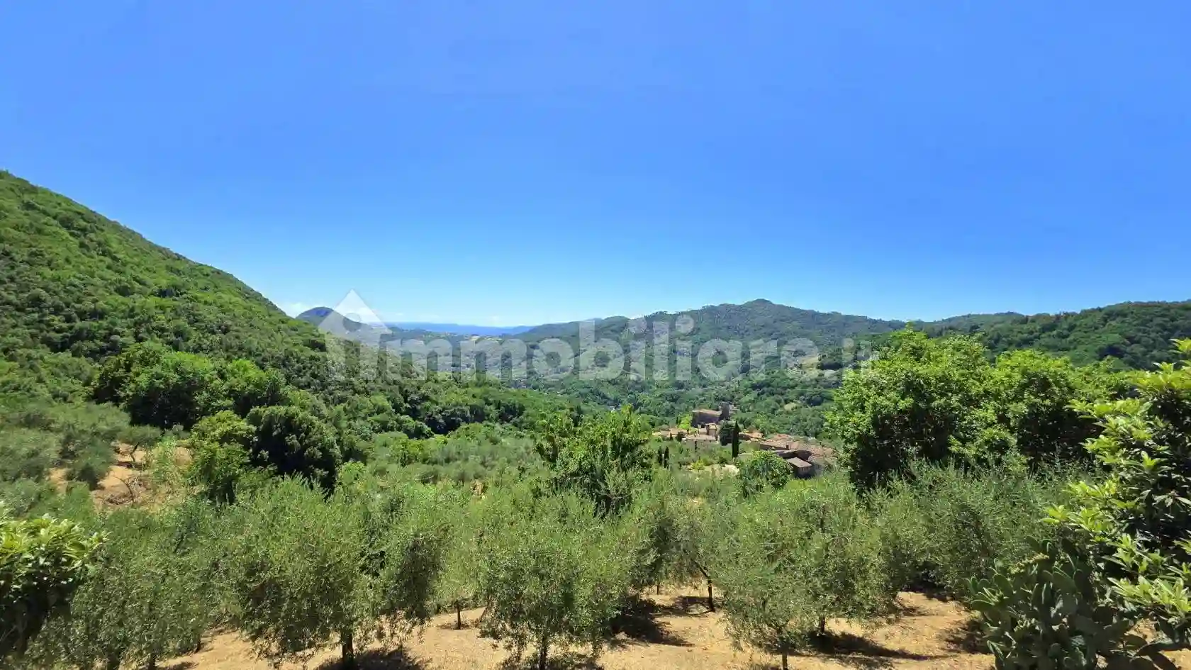 Rustico - Casale - foto 4