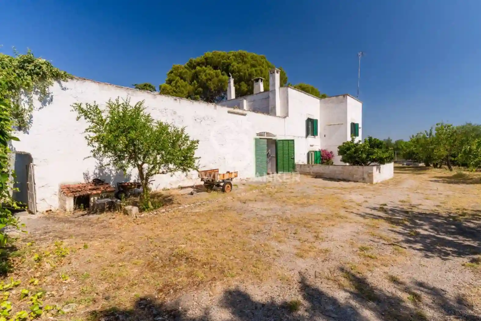 Rustico - Casale - foto 4