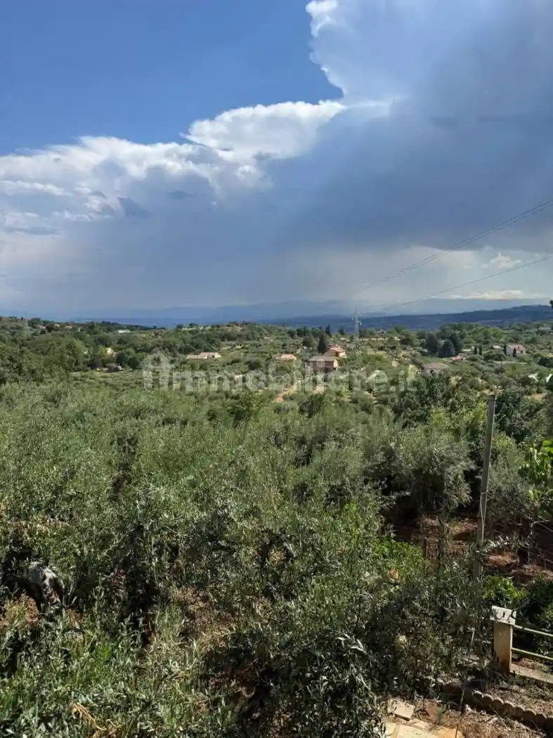 Rustico - Casale in vendita a Castrovillari
