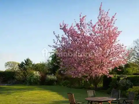 Villa in vendita a Modena