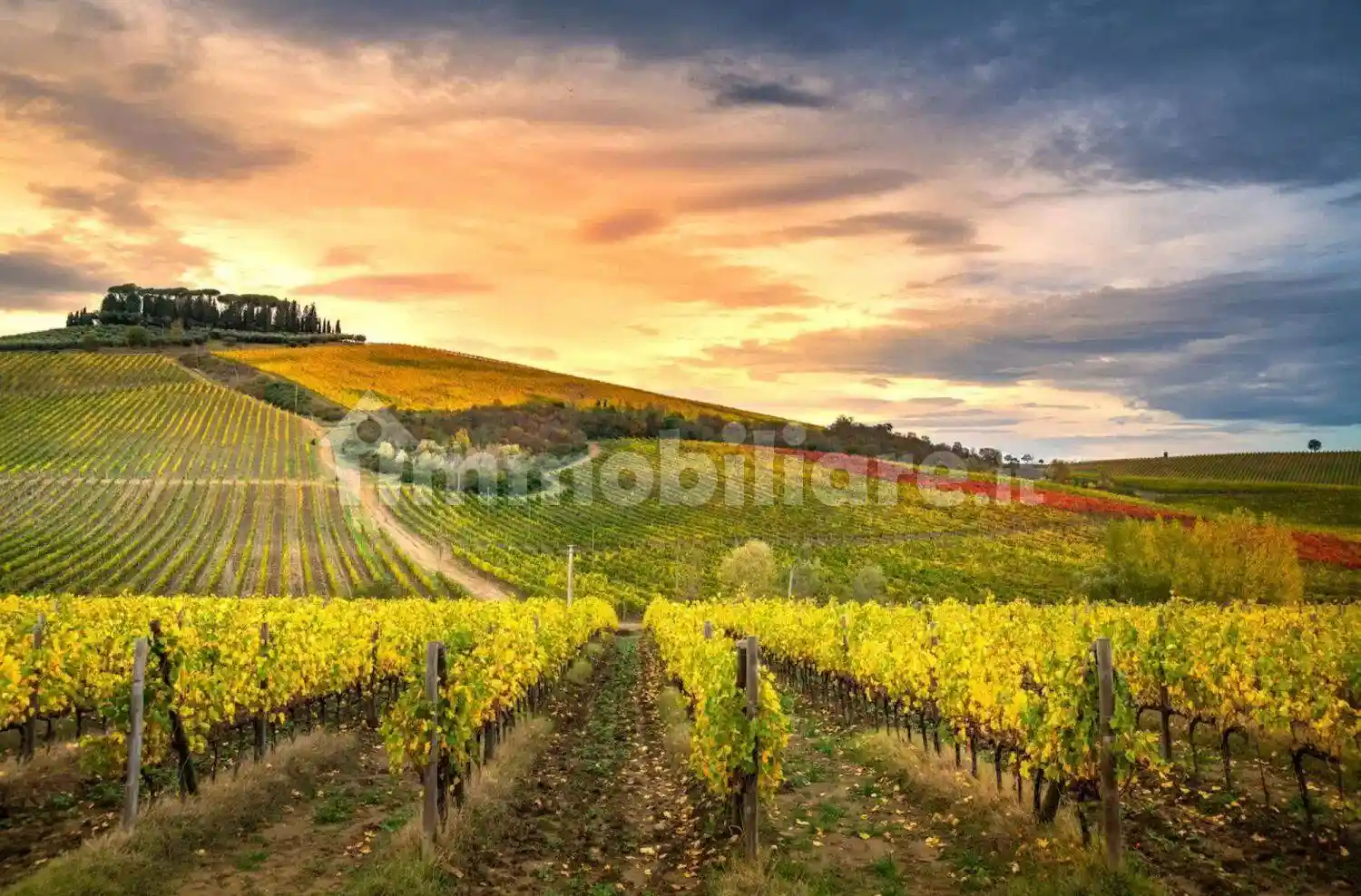 Rustico - Casale in vendita a Montespertoli