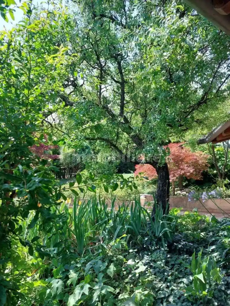 Villa in affitto a Altivole
