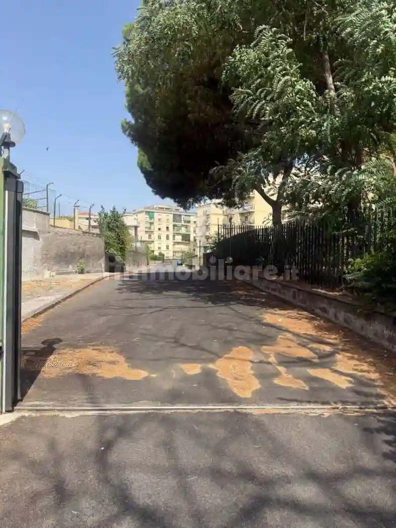 Palazzo - Edificio - foto 3