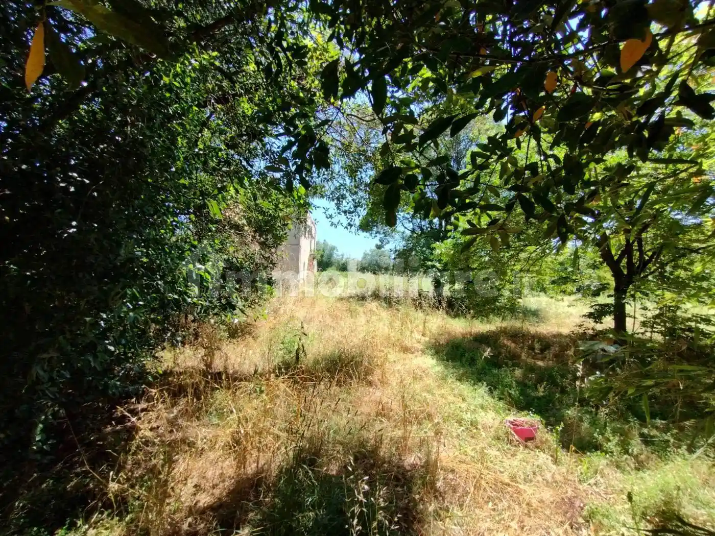 Rustico - Casale in vendita a Roccasecca