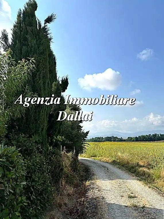 Rustico - Casale in vendita a Scarperia e San Piero