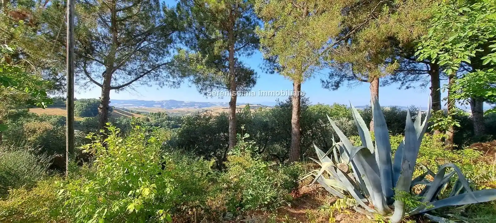 Villa in vendita a Vallefoglia