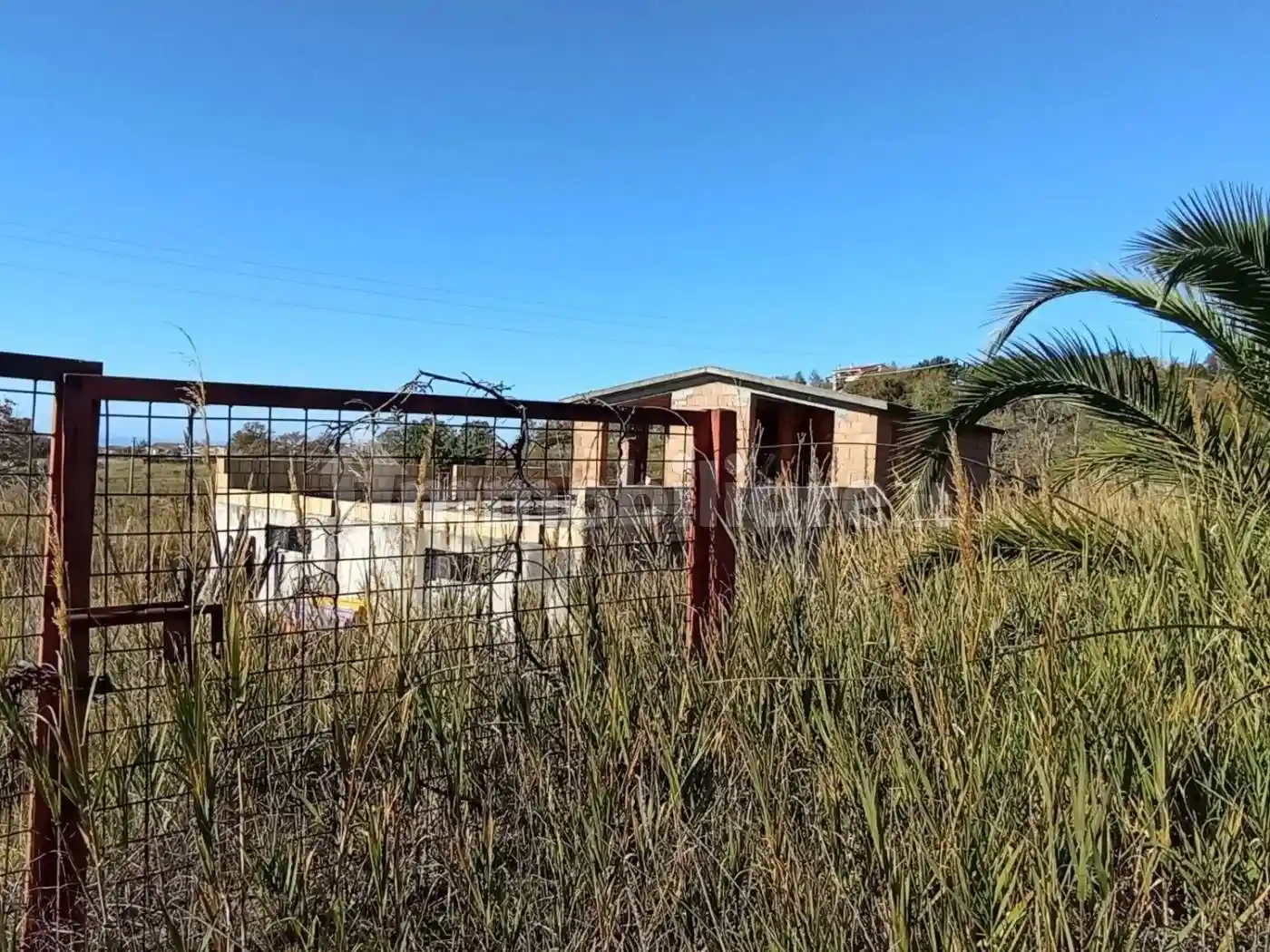Rustico - Casale in vendita a Scalea
