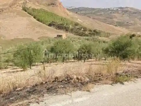 Rustico - Casale in vendita a Cianciana