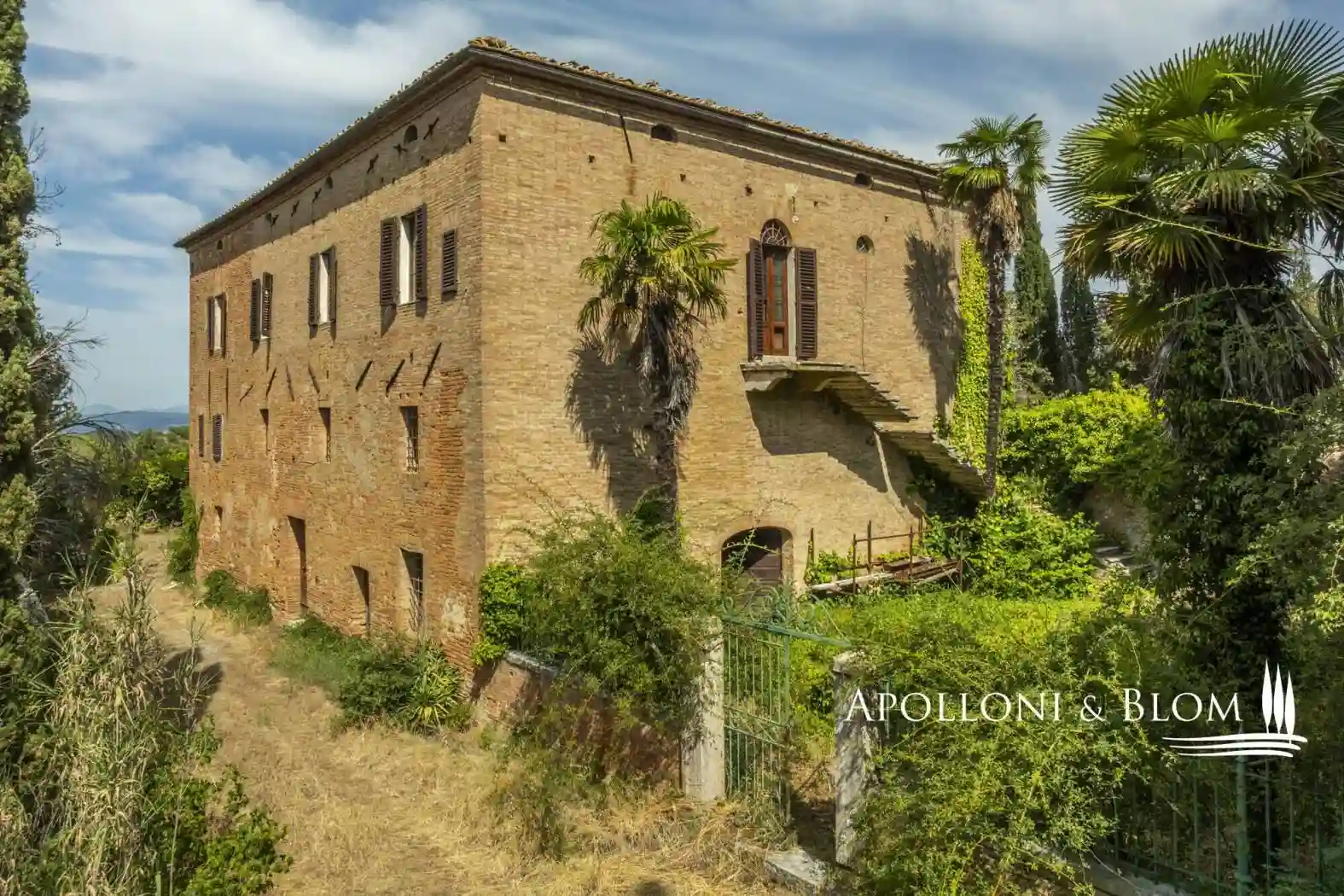 Palazzo - Edificio - foto 4