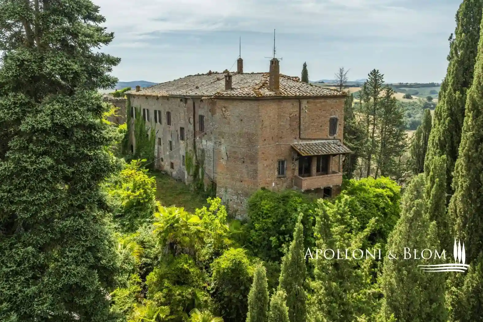 Palazzo - Edificio - foto 5
