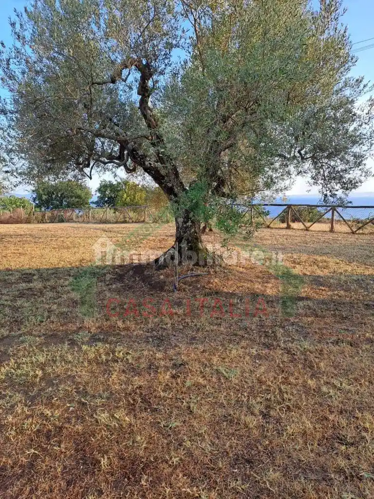 Rustico - Casale in vendita a Bolsena