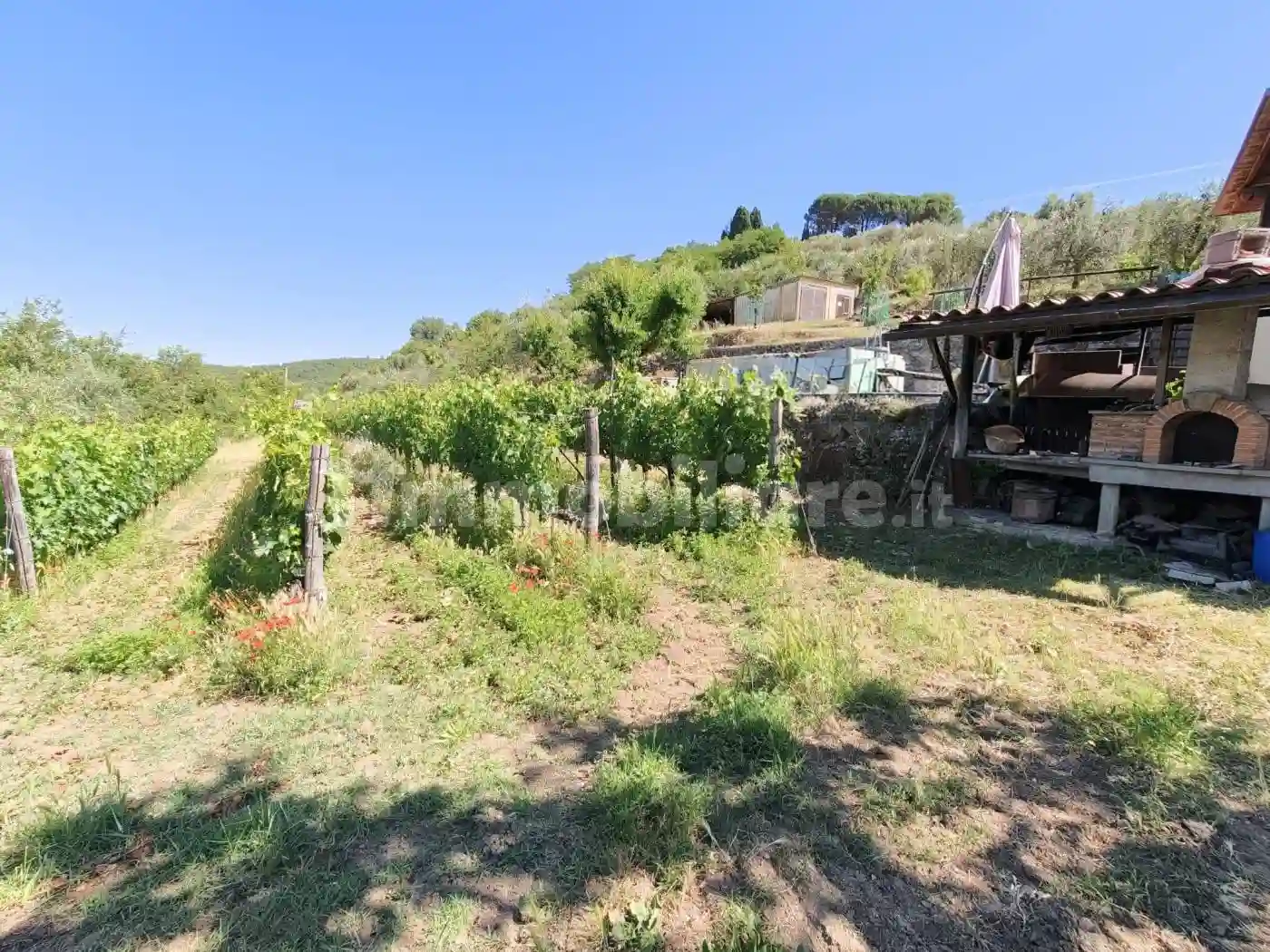 Rustico - Casale - foto 5