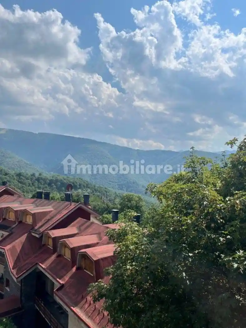 Appartamento in vendita a Roburent