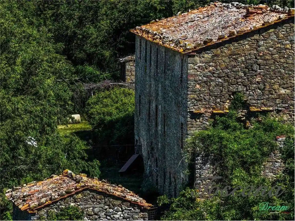 Rustico - Casale - foto 5